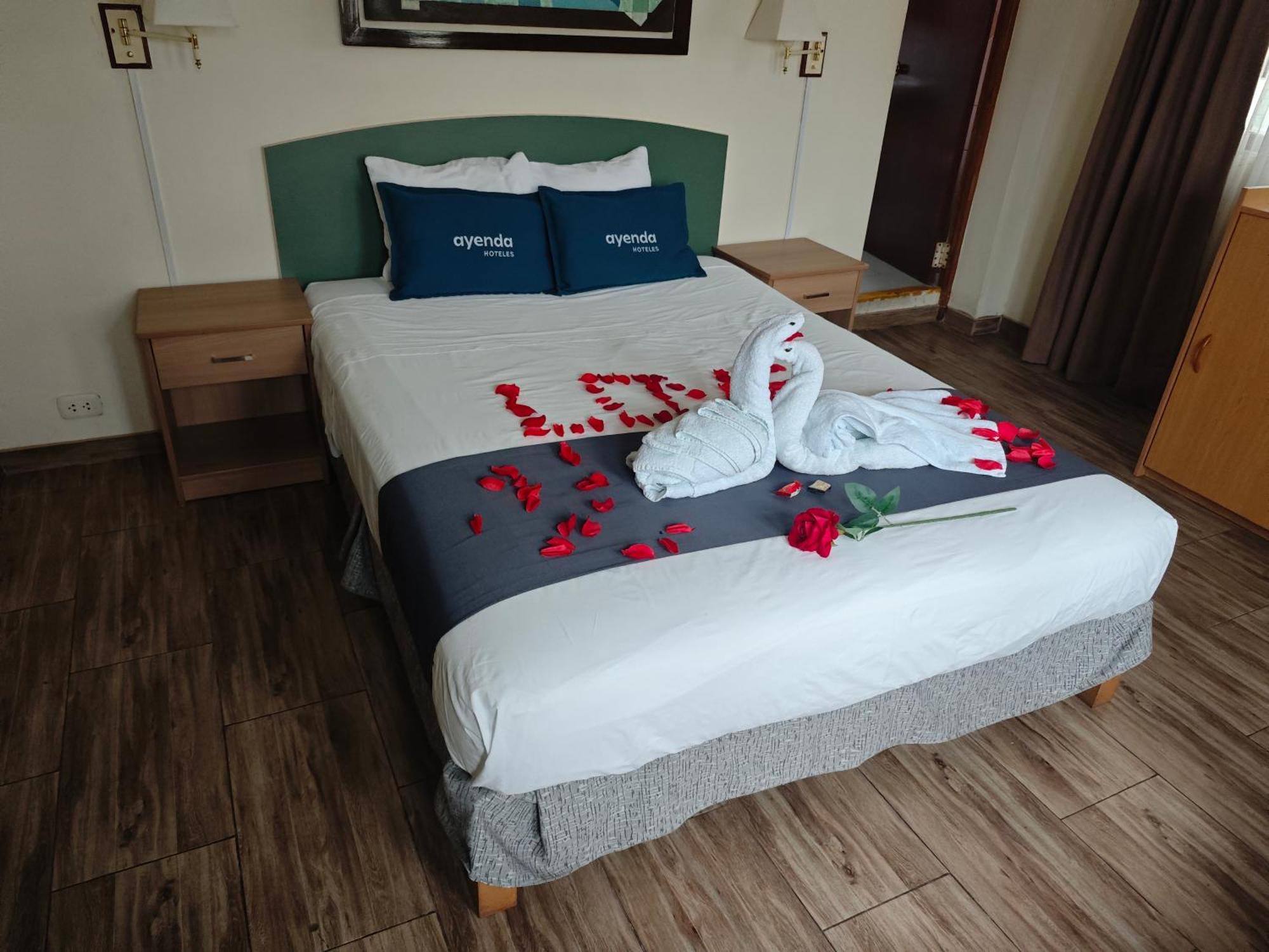 Hotel San Isidro Inn Hotel 3*